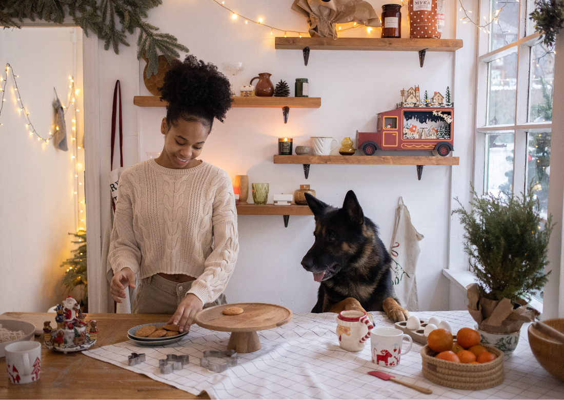 A Dog's Christmas Feast: Healthy Holiday Recipes for Your Canine Companion