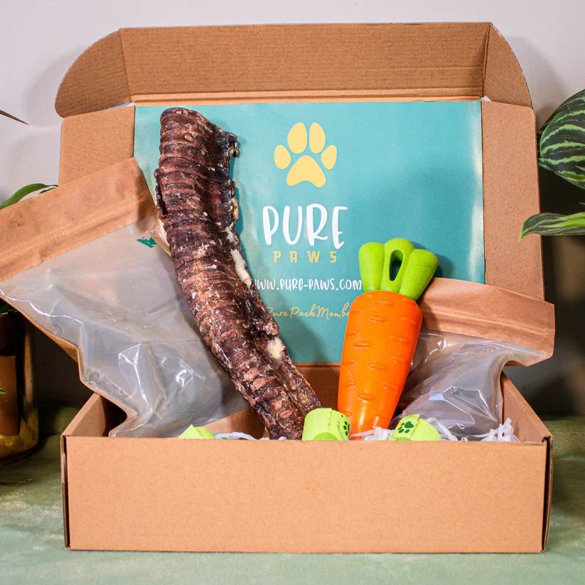 The Benefits of Subscription Boxes for Pet Owners