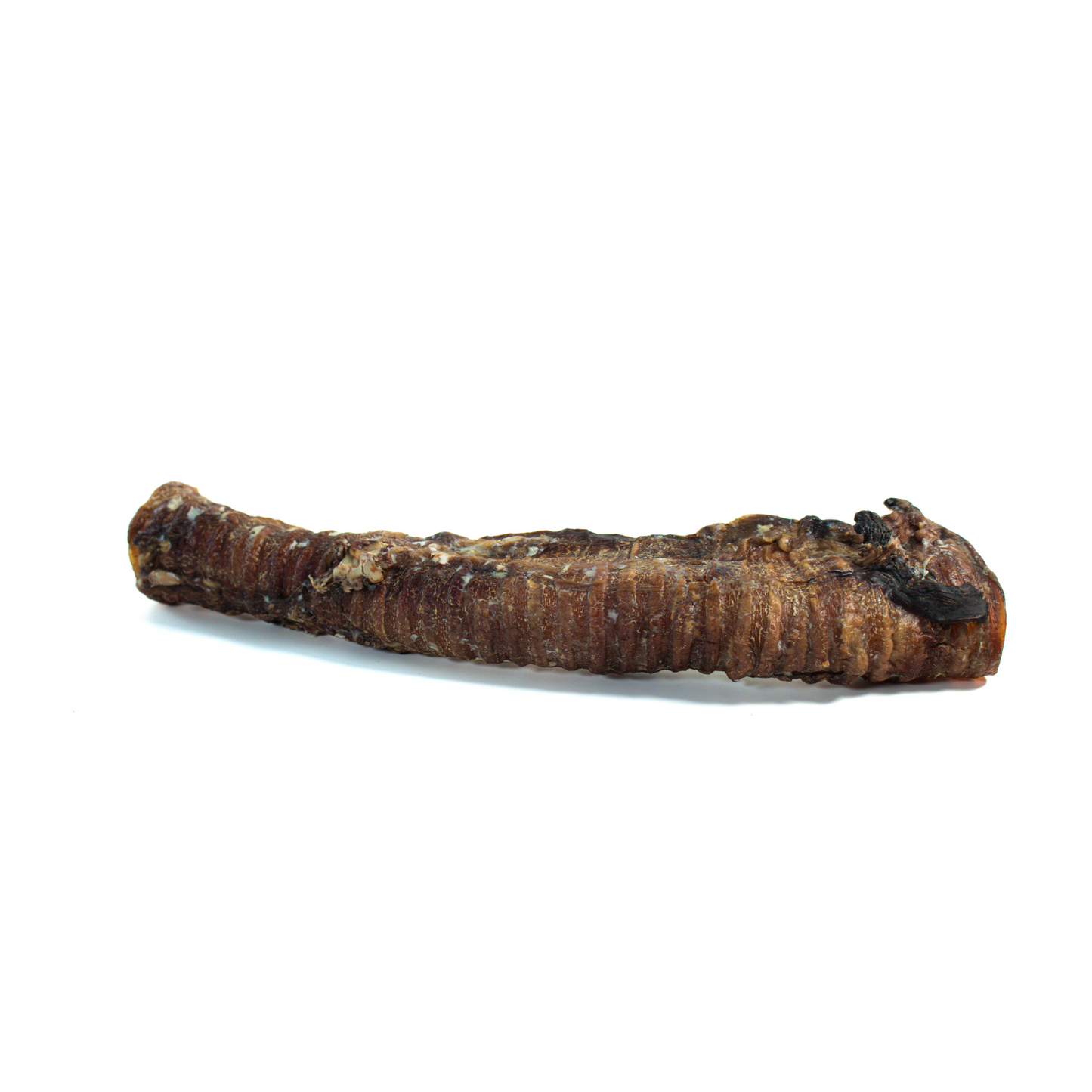 Whole Beef Trachea